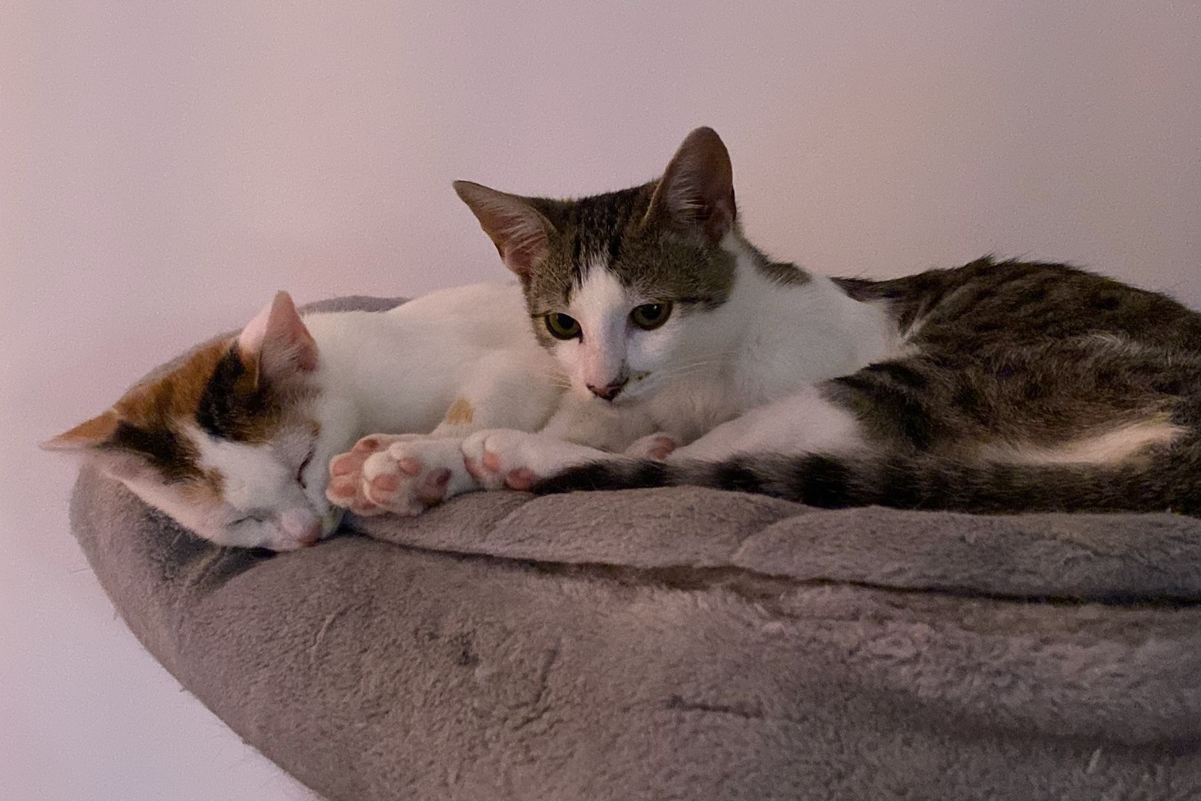 251019_Sterndal_Luggi – 2