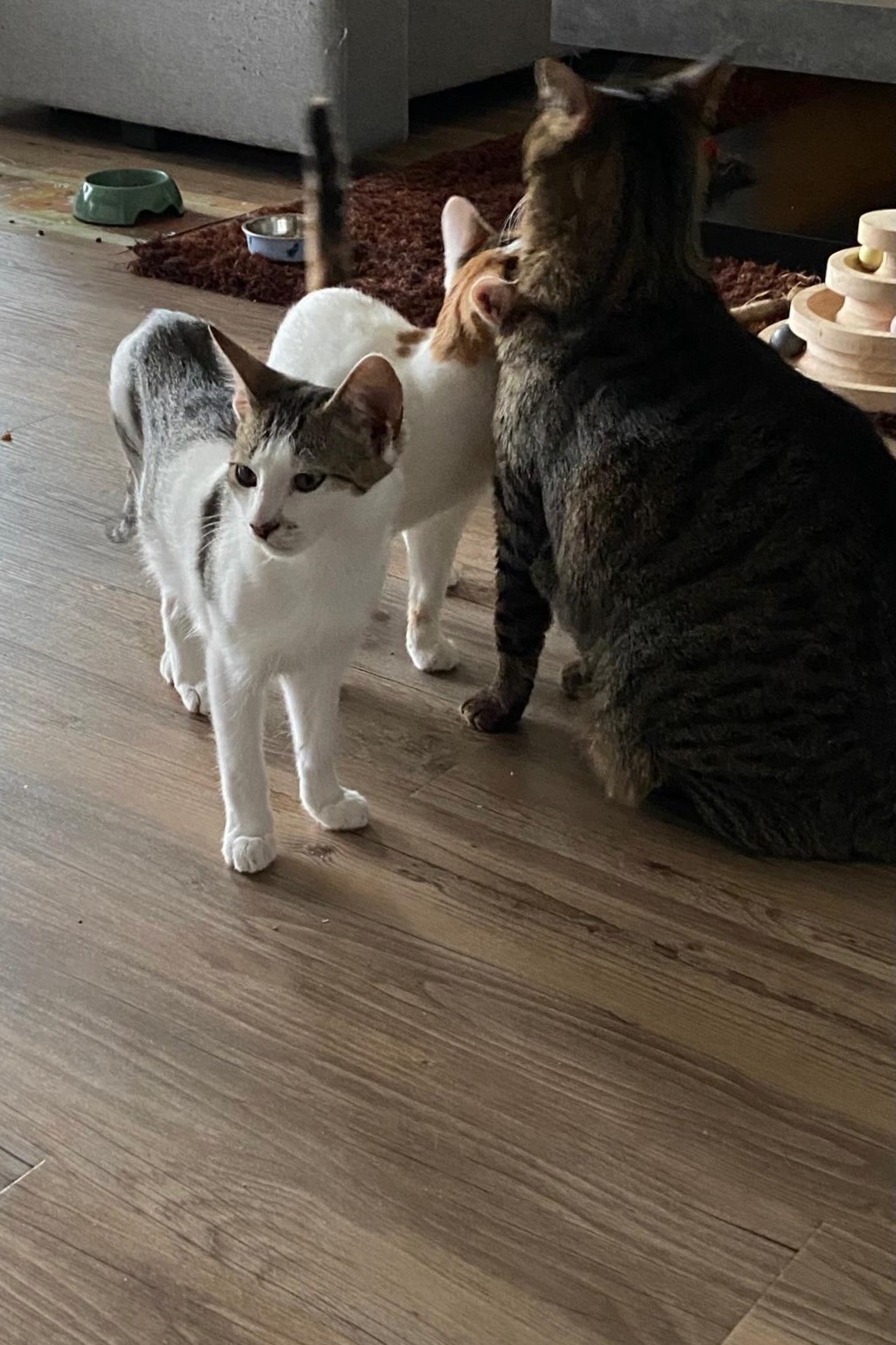 251019_Sterndal_Luggi – 4