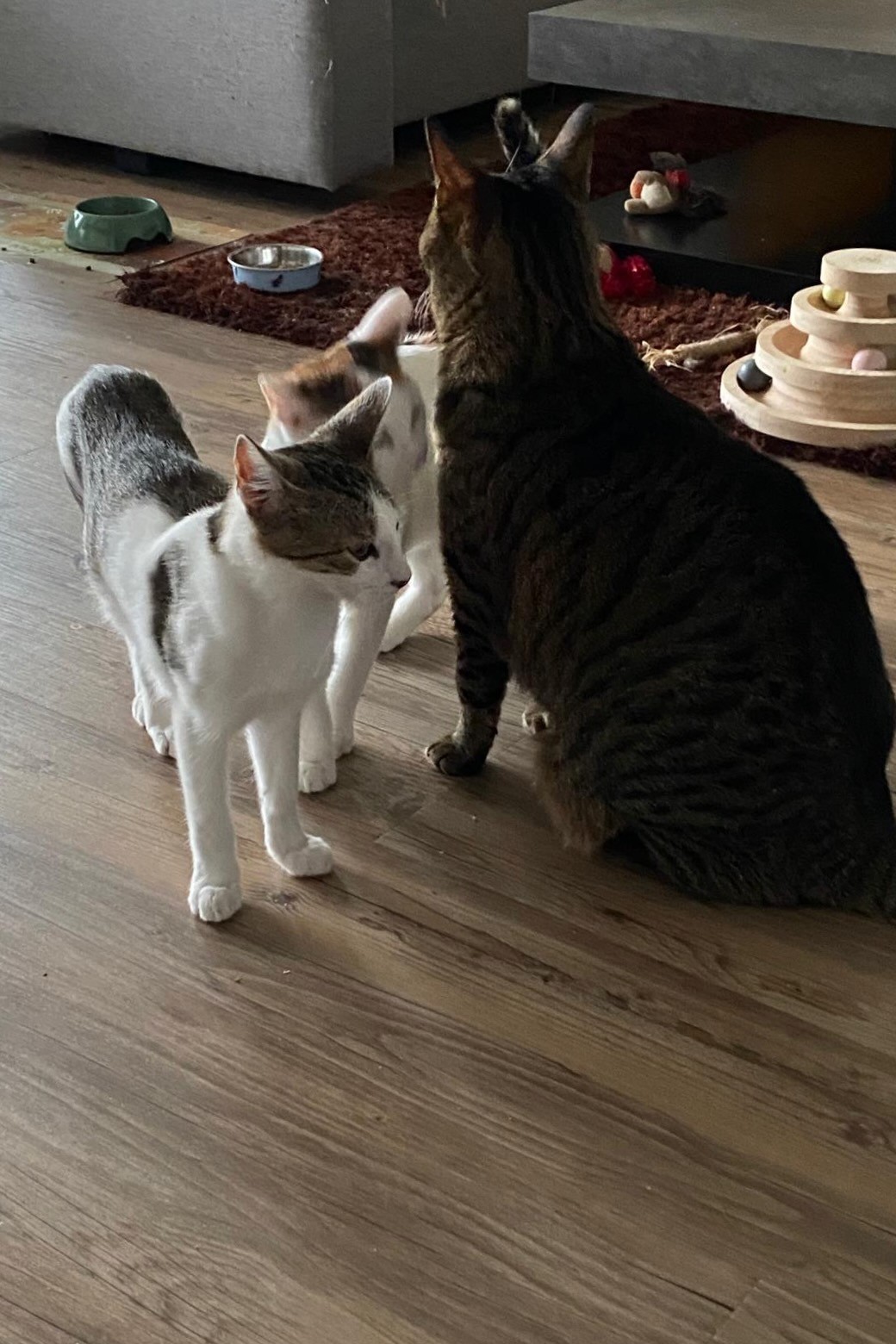 251019_Sterndal_Luggi – 5