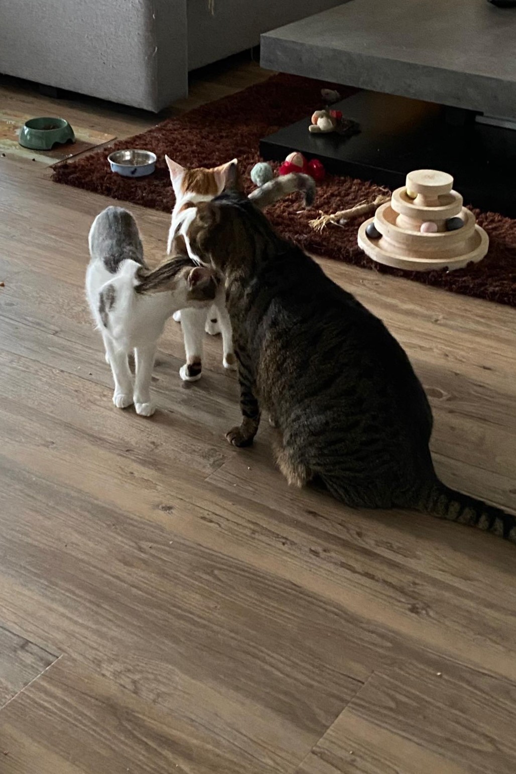 251019_Sterndal_Luggi – 6