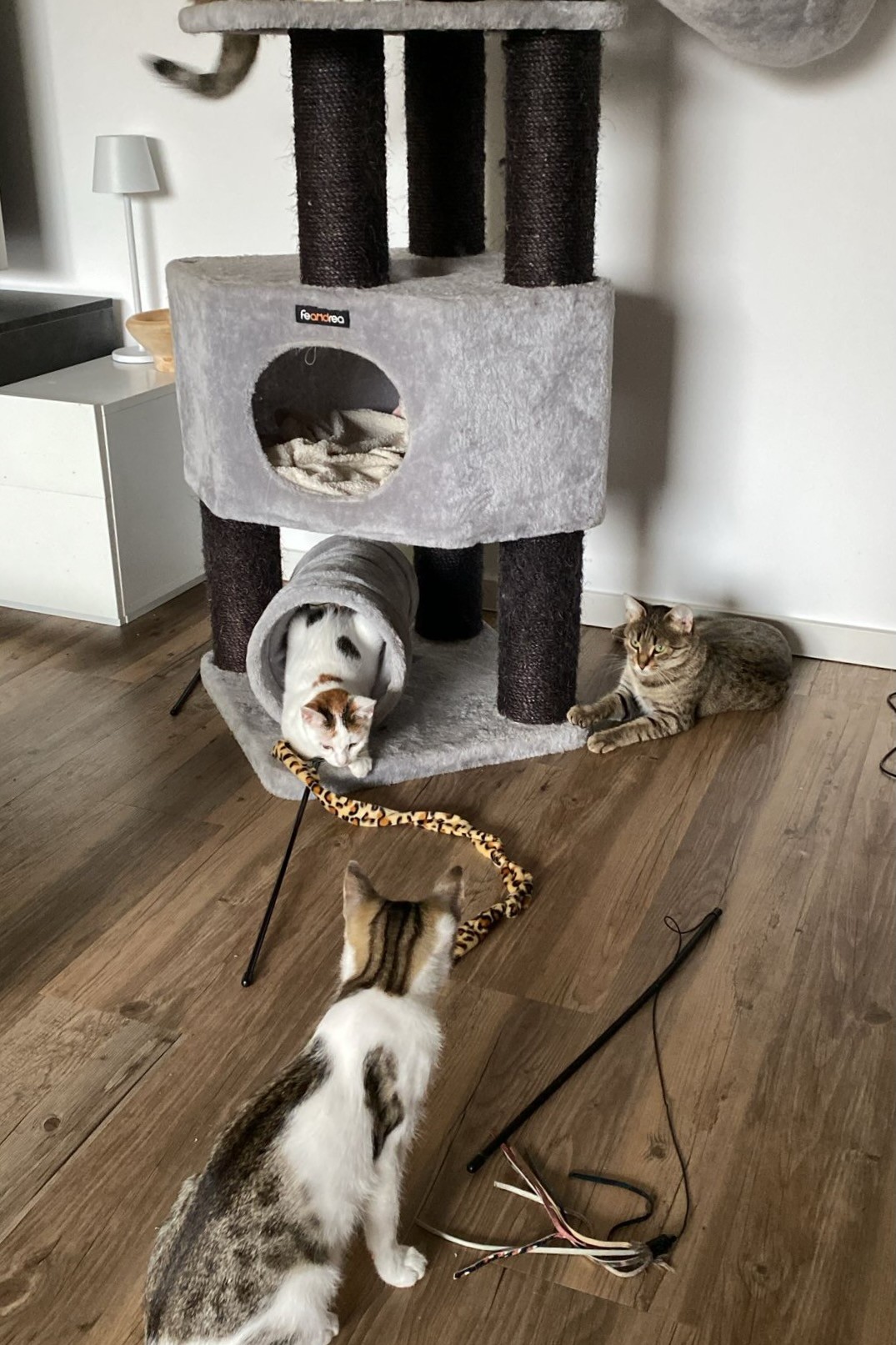 251019_Sterndal_Luggi – 7