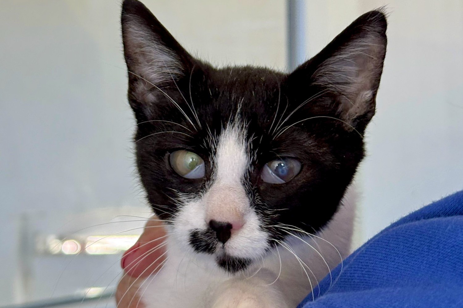 251004_Pünktchen – 1