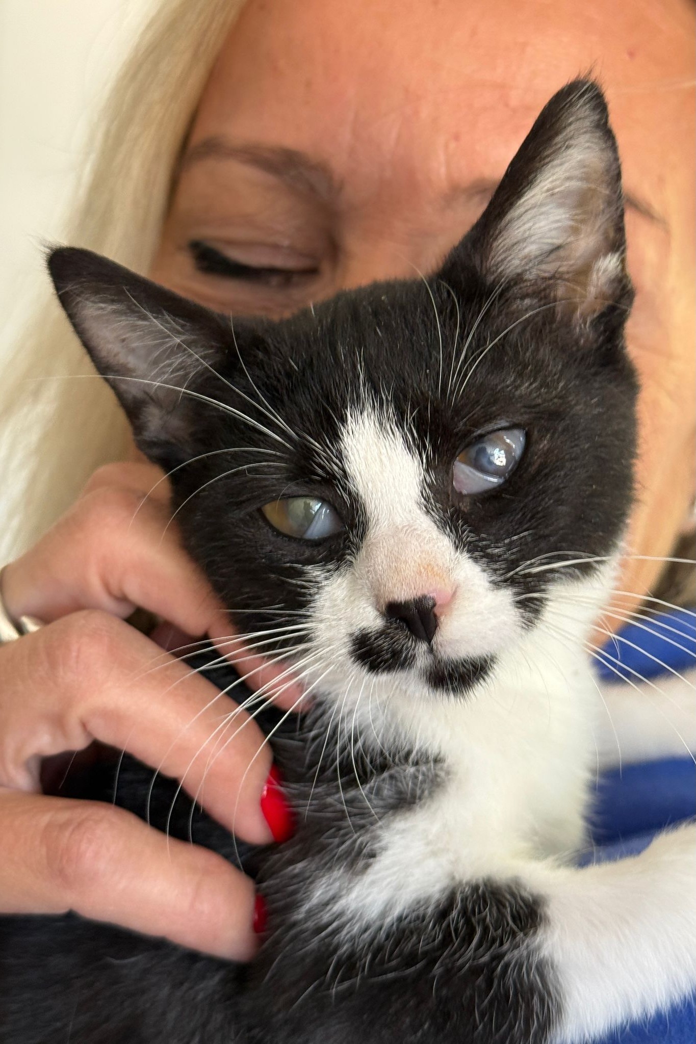 251004_Pünktchen – 3