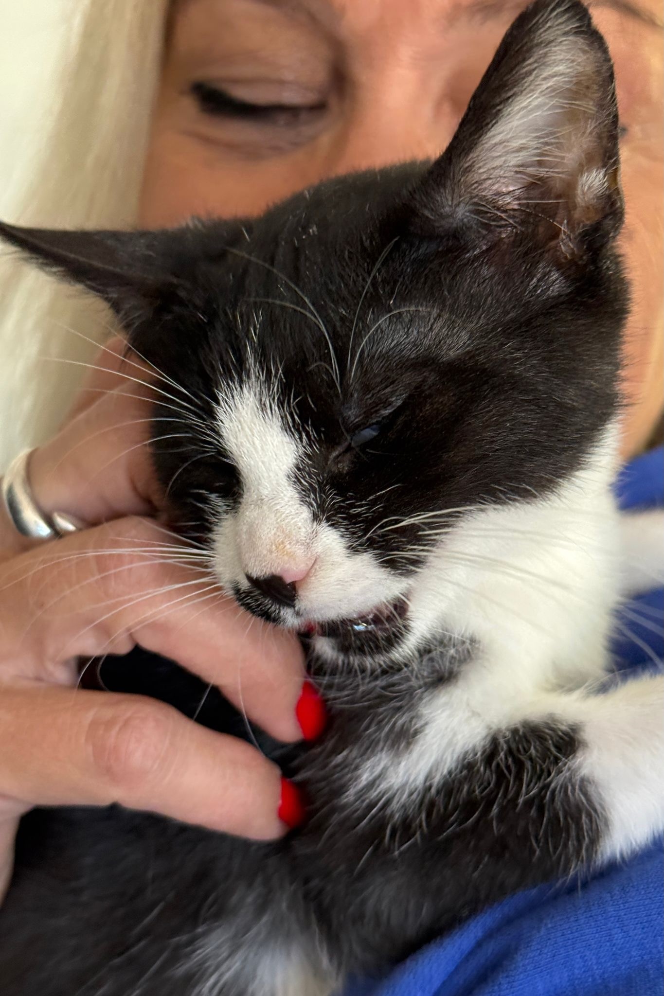 251004_Pünktchen – 4