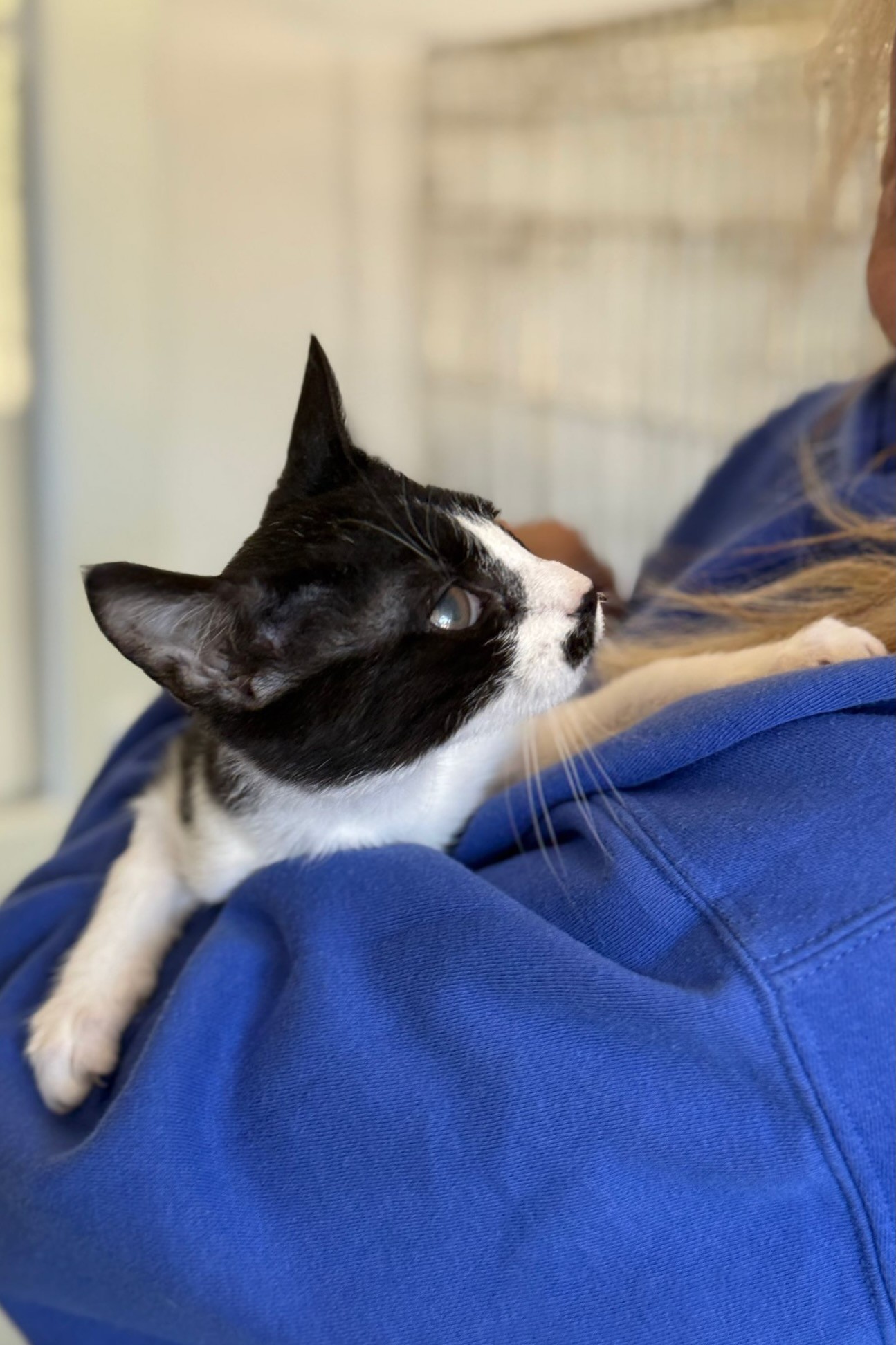 251004_Pünktchen – 6