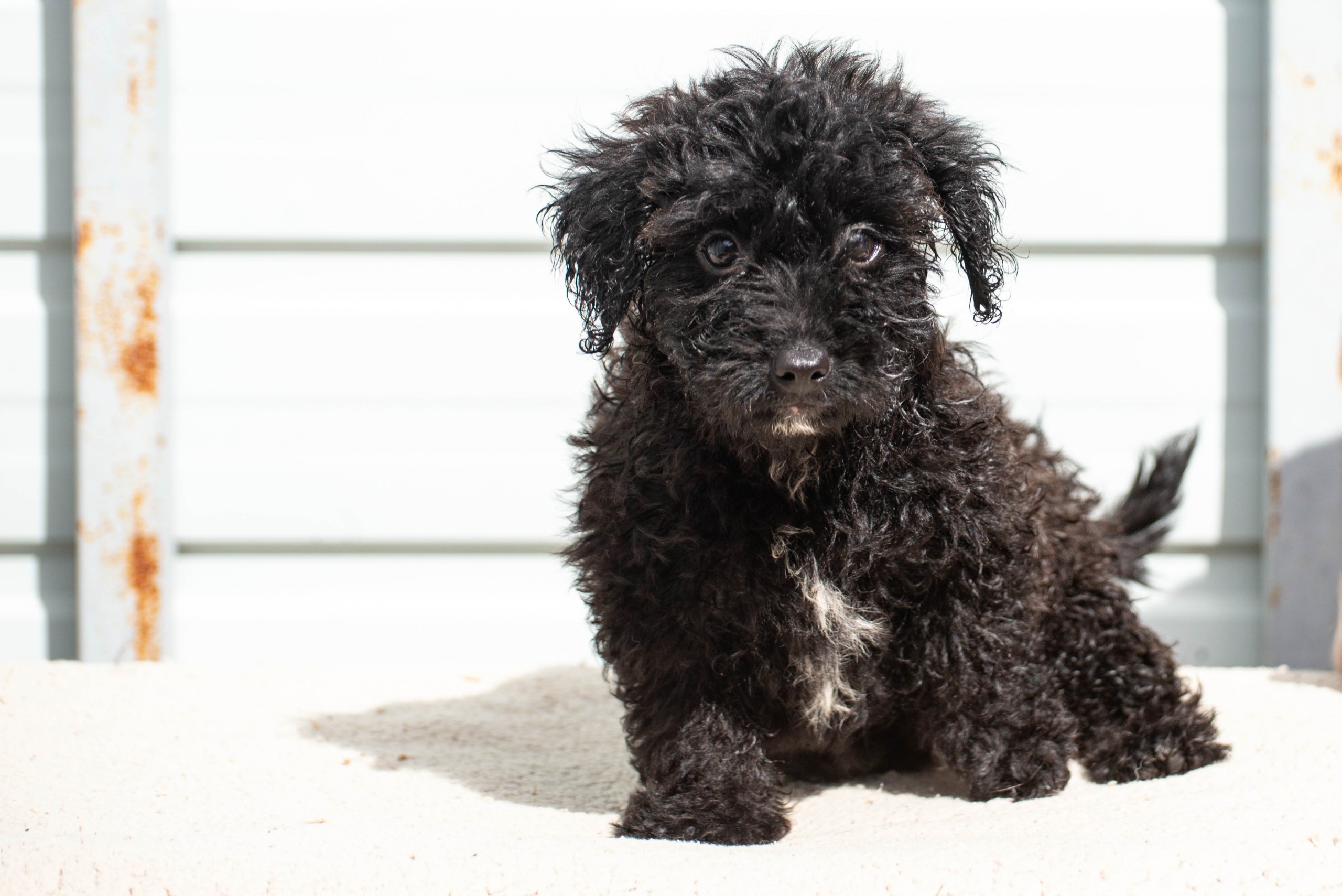 251005_Josepha – 1