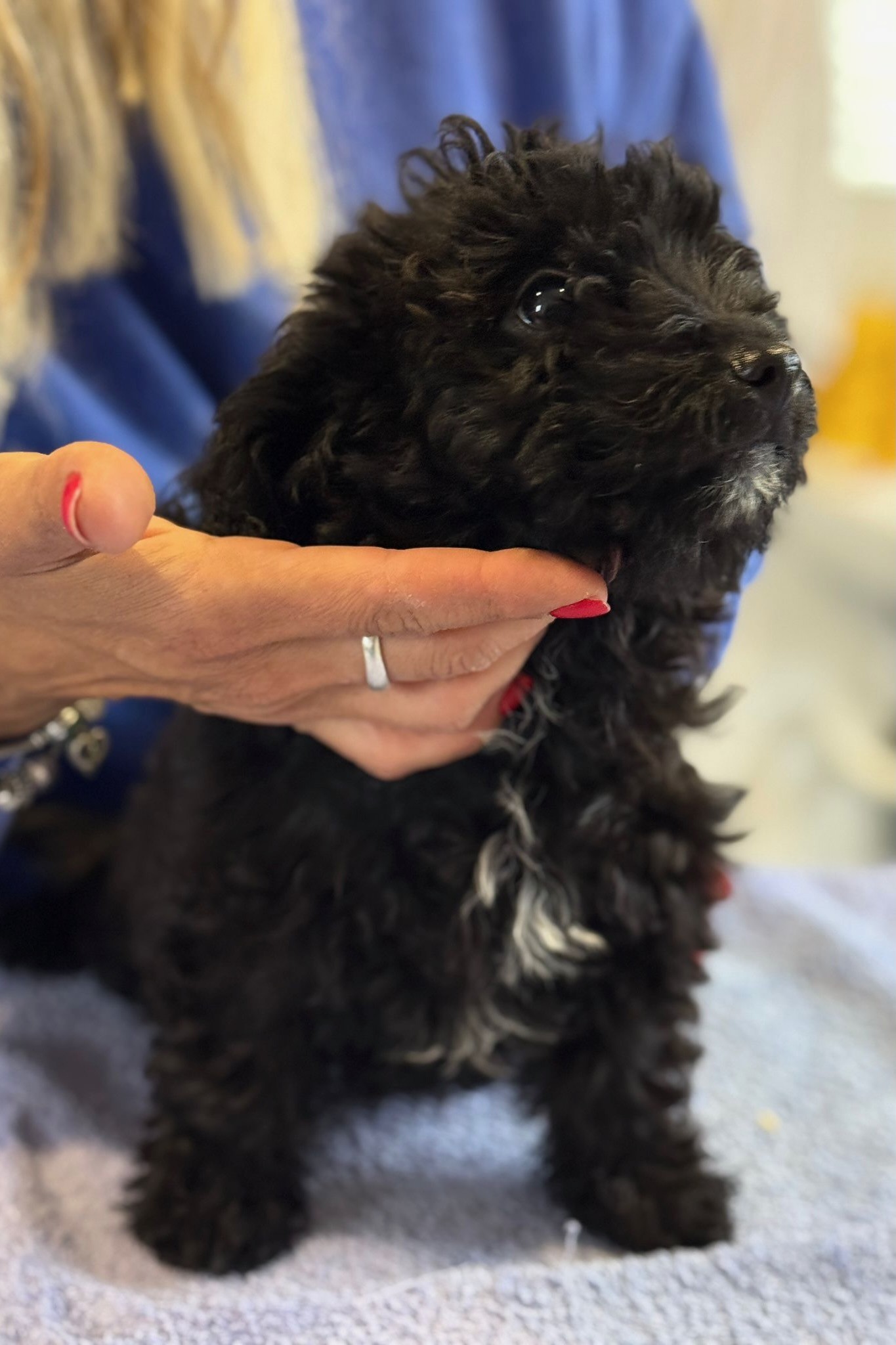 251005_Josepha – 10