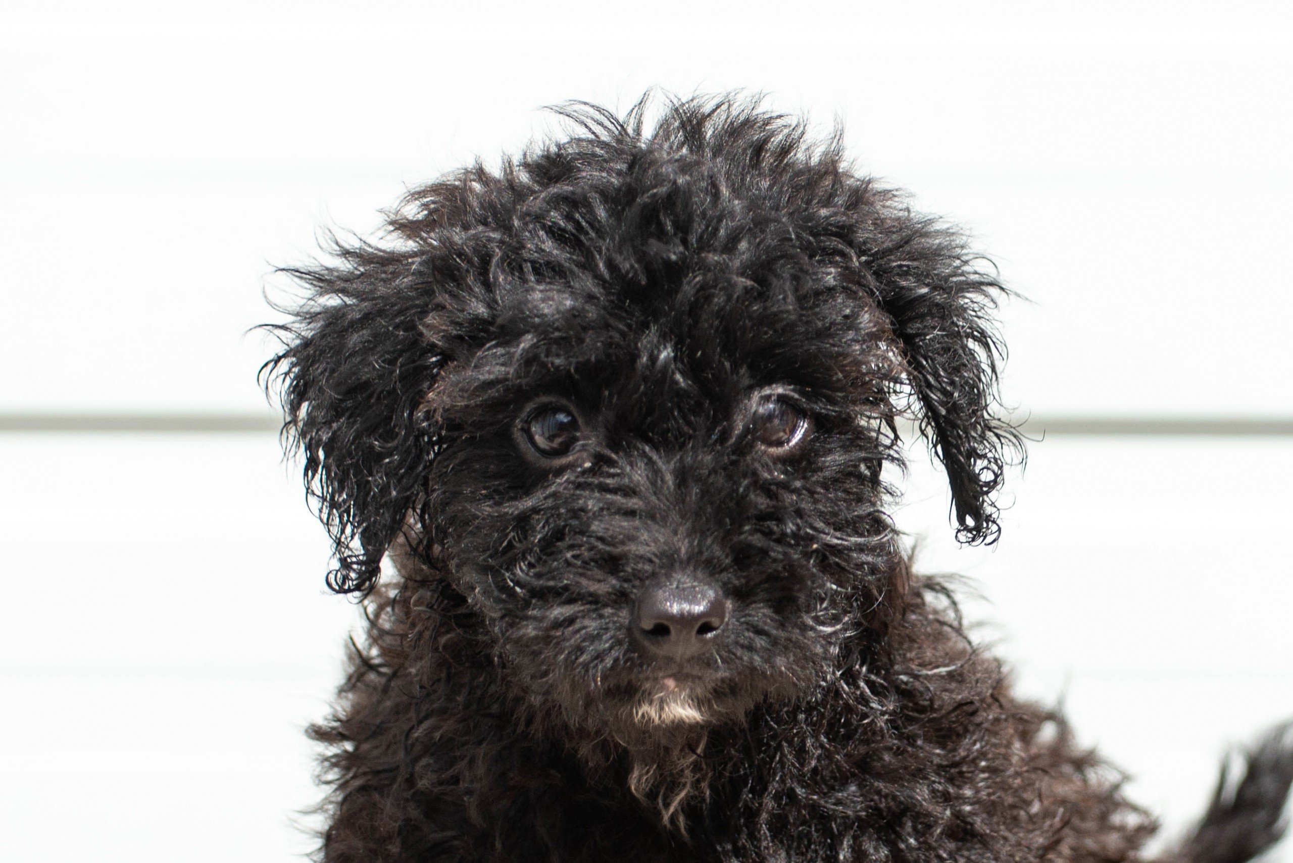 251005_Josepha – 2