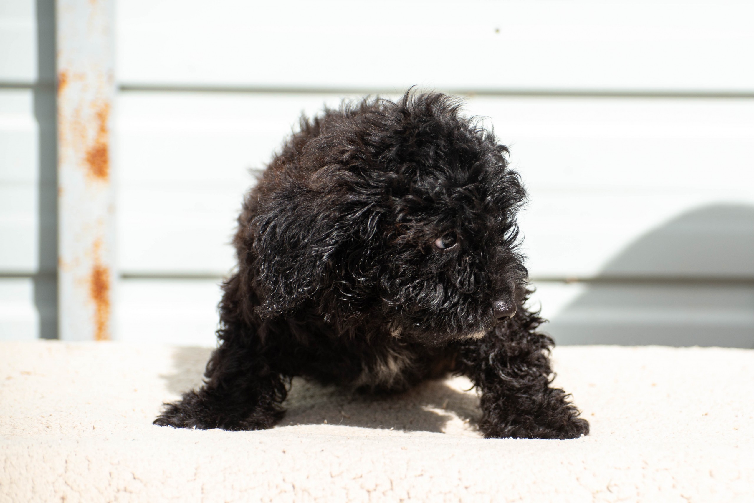 251005_Josepha – 3