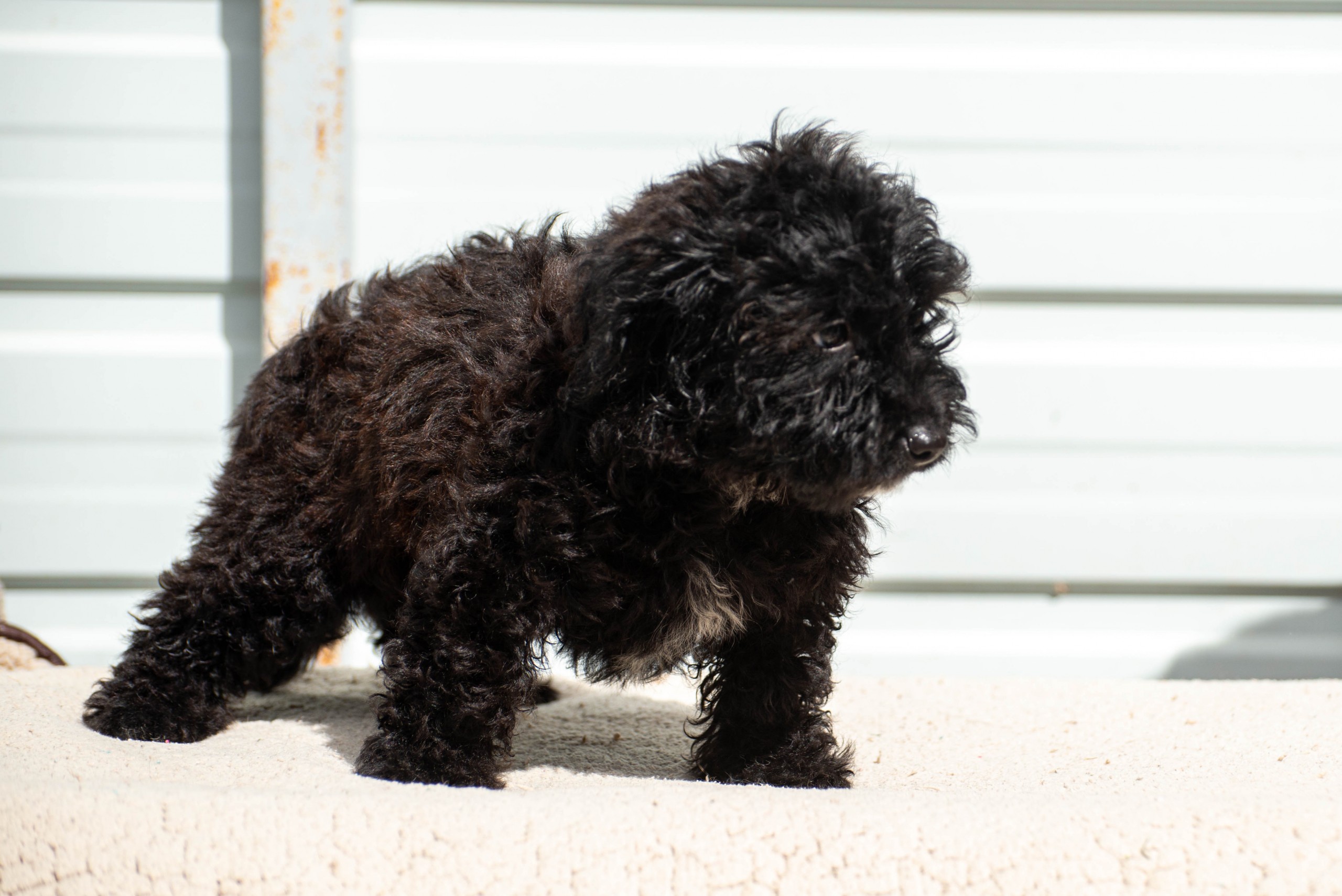 251005_Josepha – 4