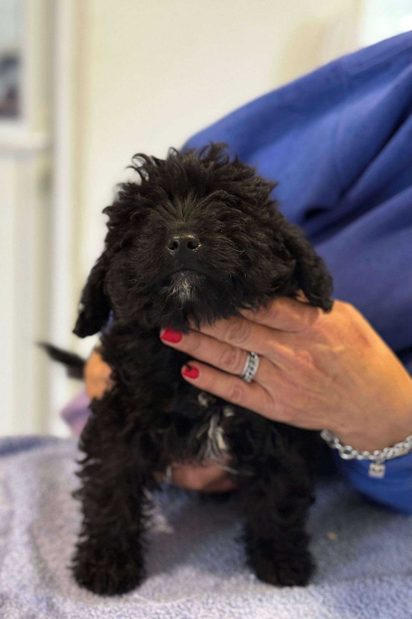 251005_Josepha – 5