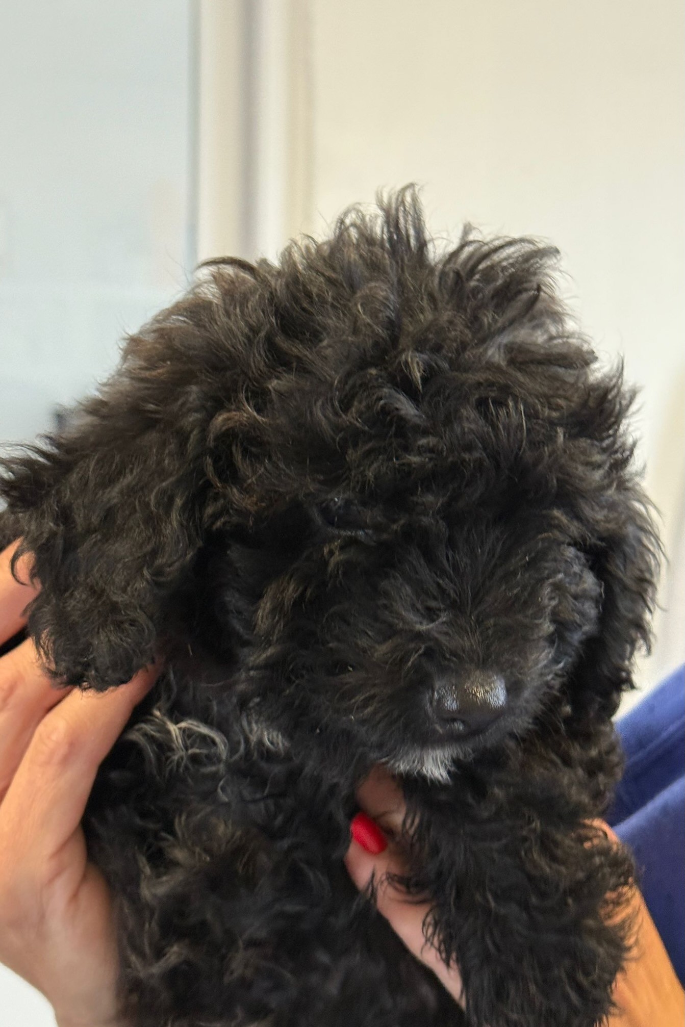 251005_Josepha – 6