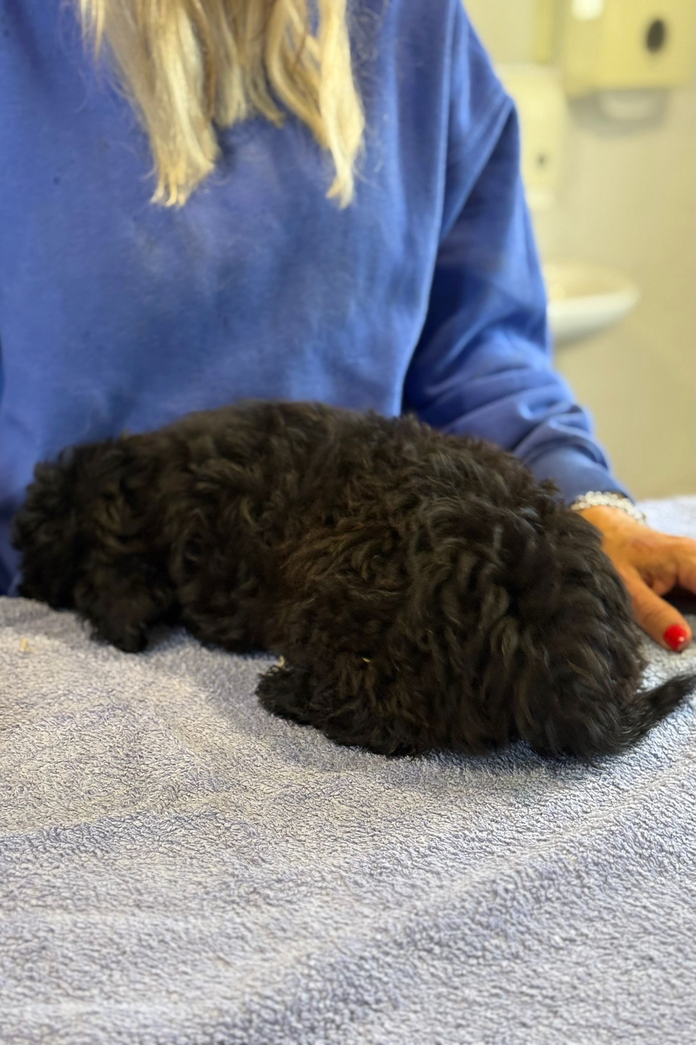 251005_Josepha – 7