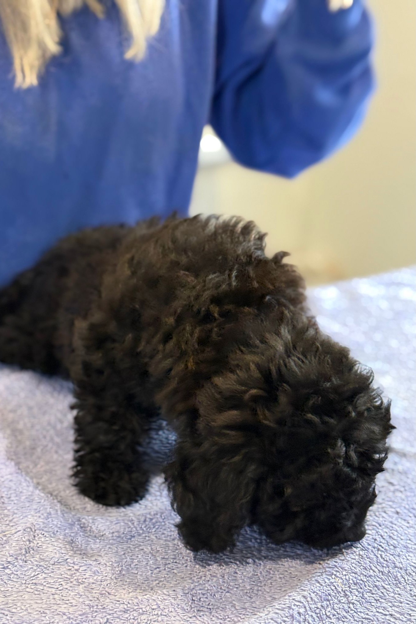 251005_Josepha – 8