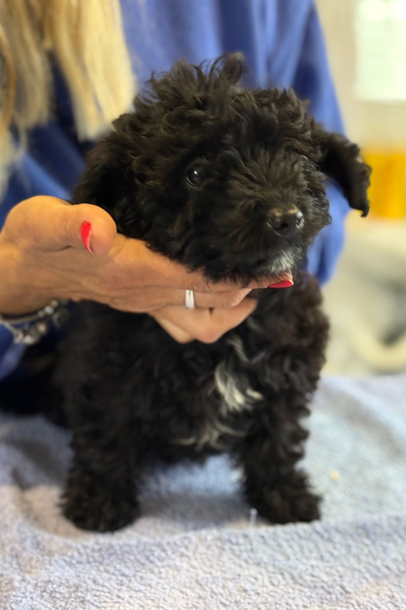 251005_Josepha – 9