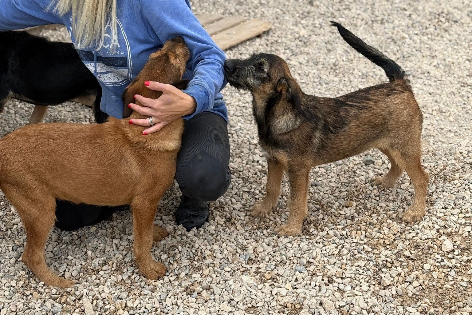 251018_Rayk_Skadi – 1