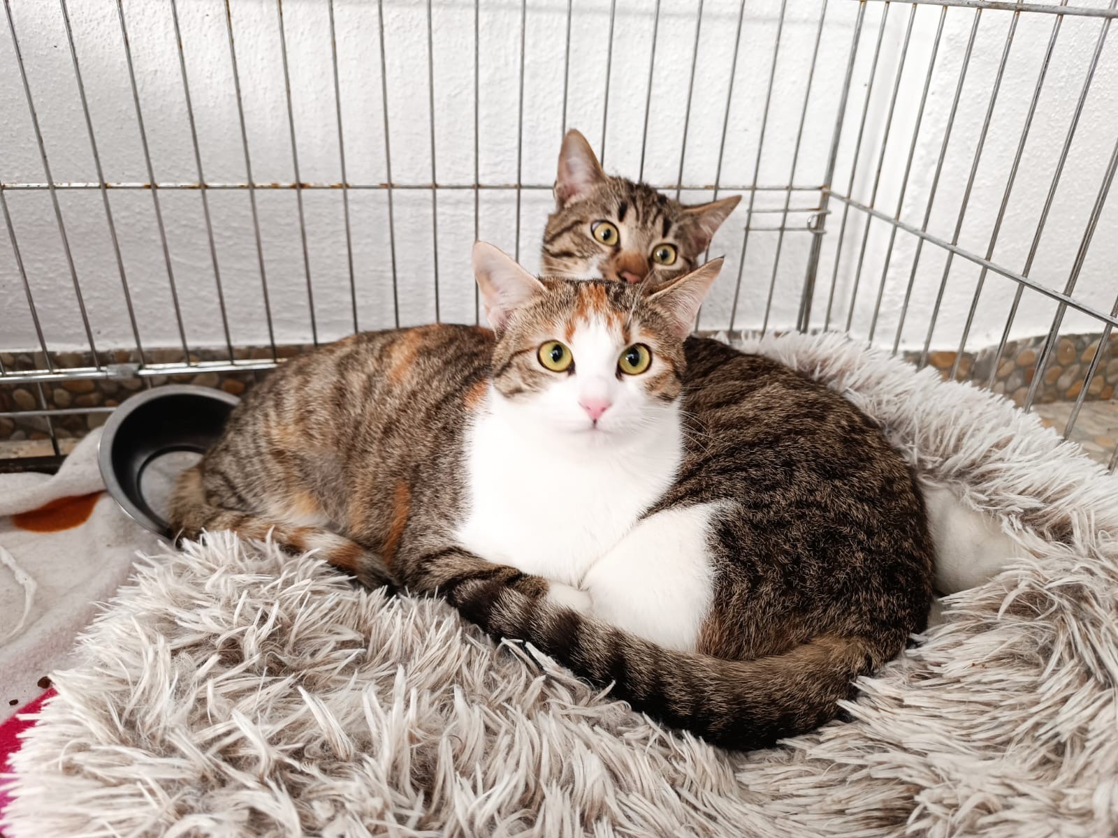 20260407_Colin_Lumi_2