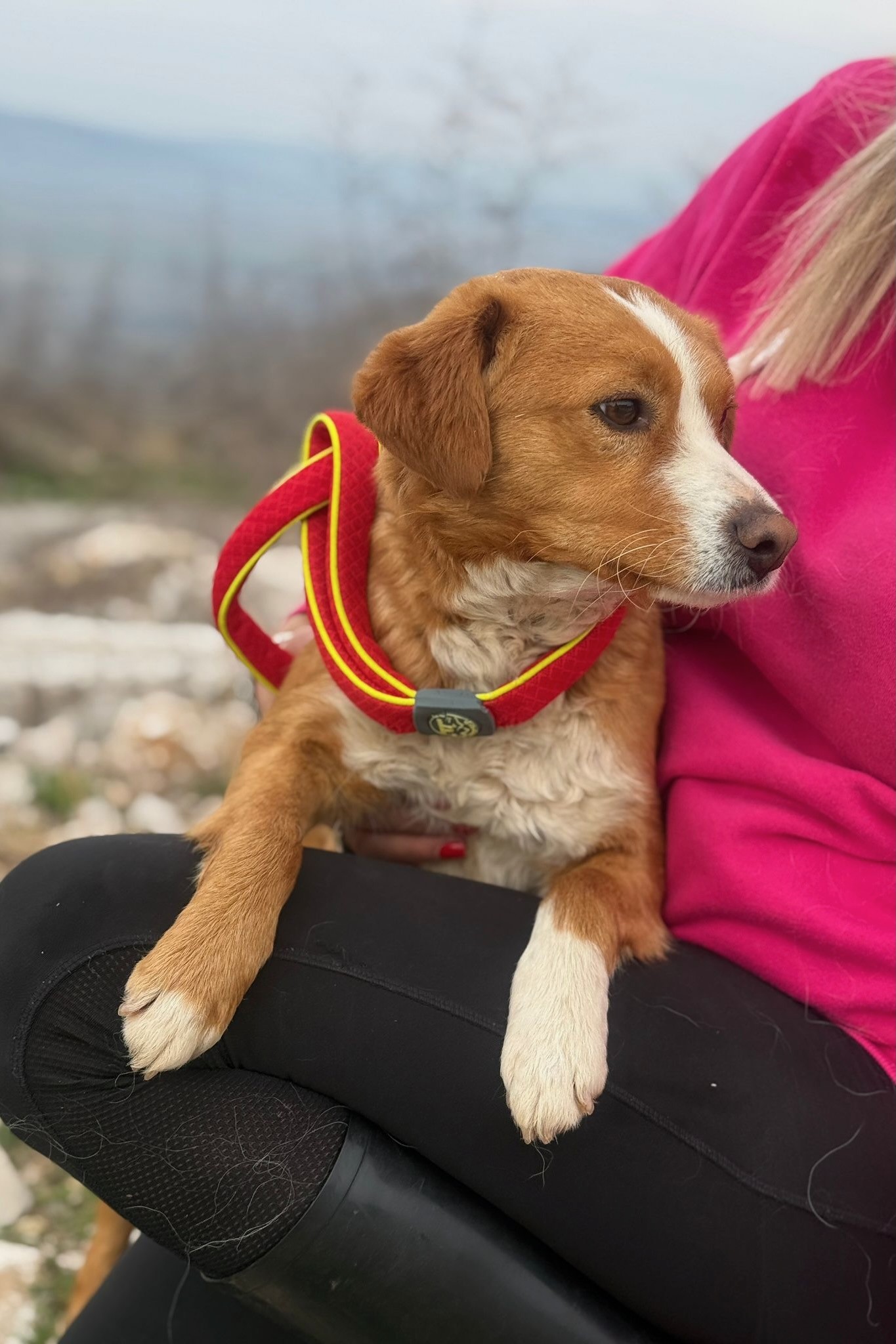 260304_Chilli – 10