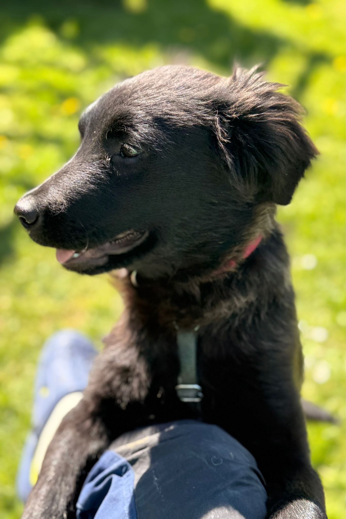 260429_Zoe – 2