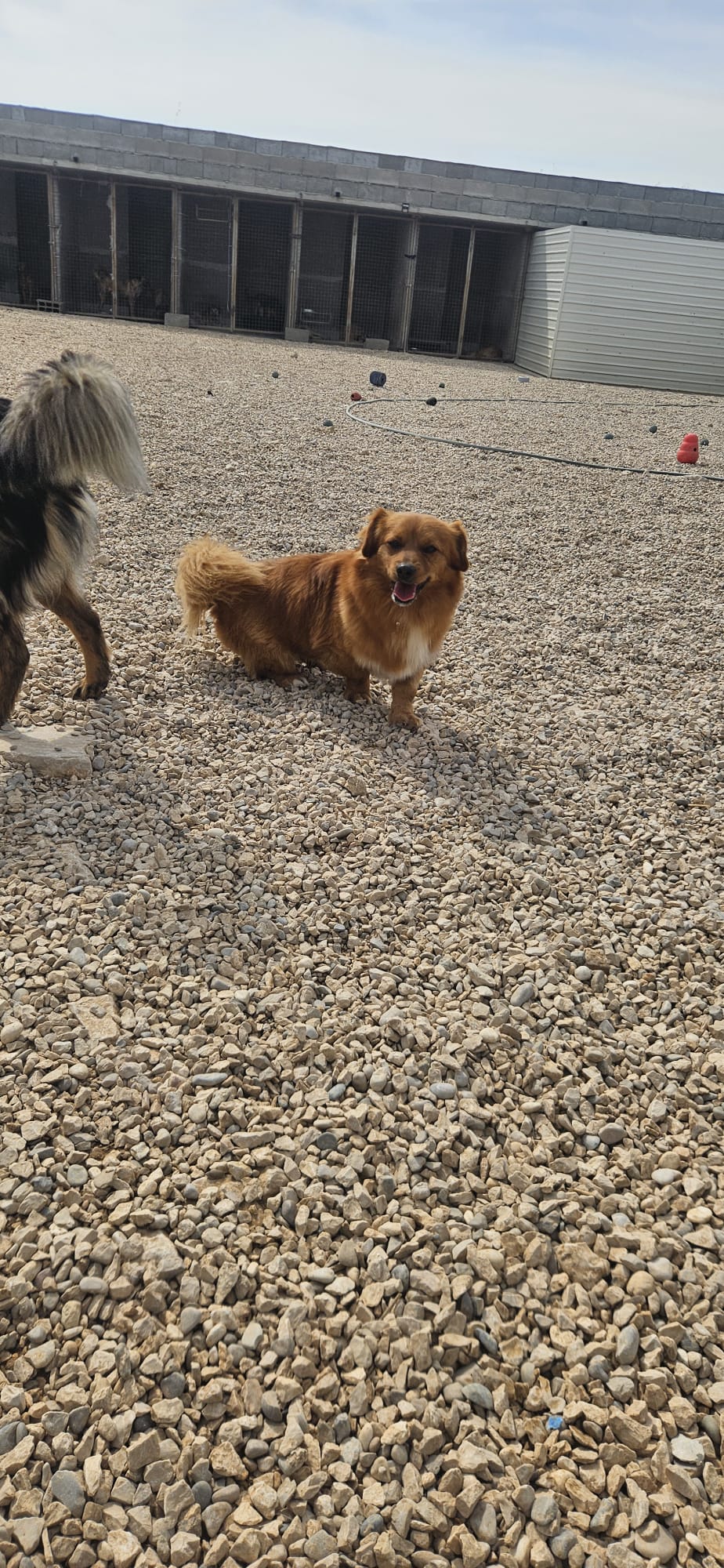 260510_Samu_1