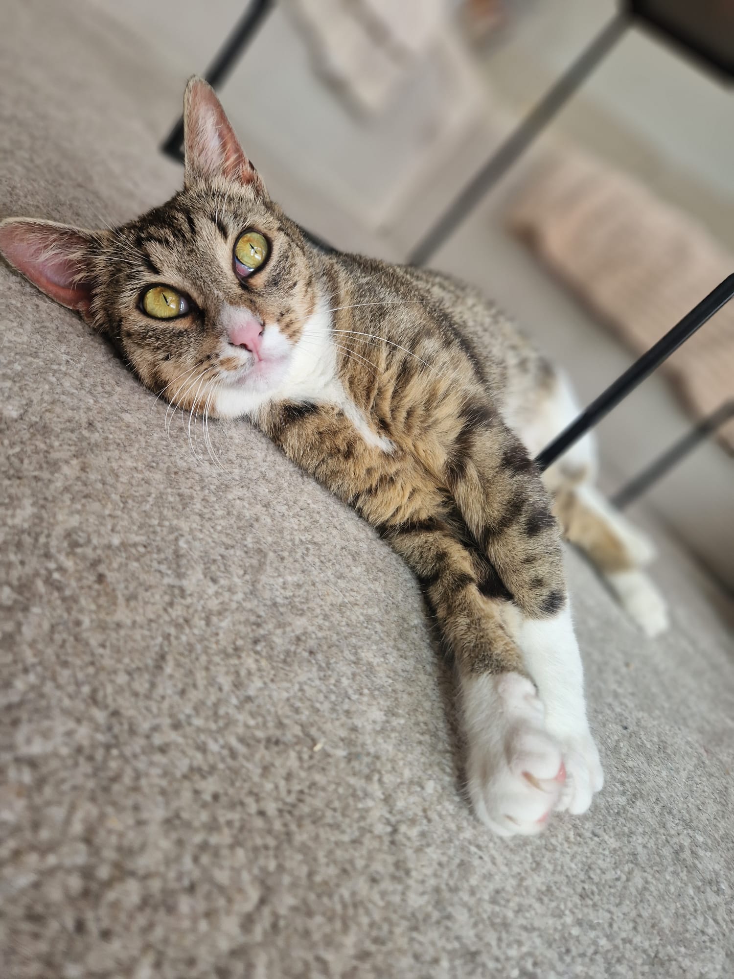 260523_Sina_8