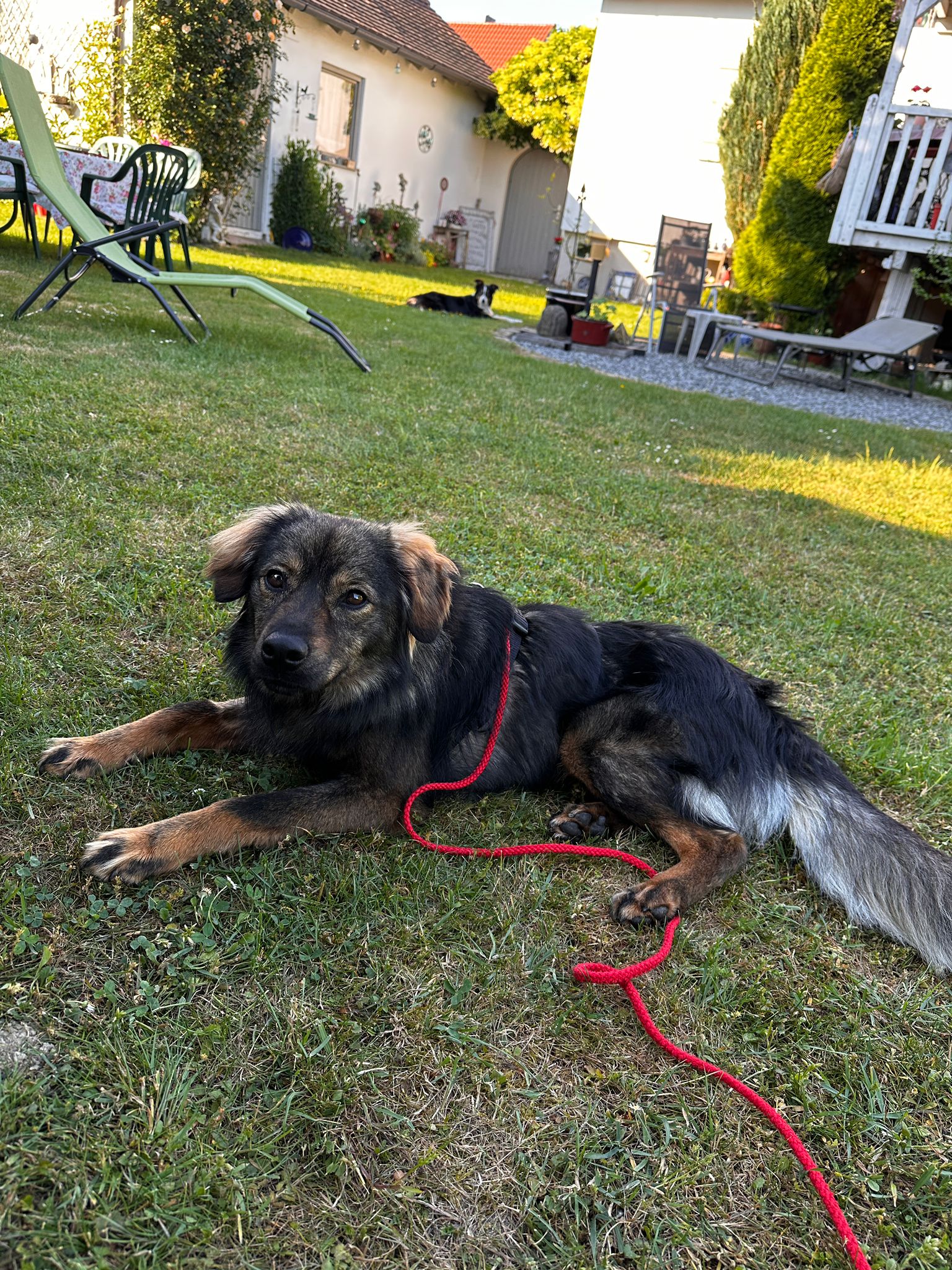 260528_Tomtom_1