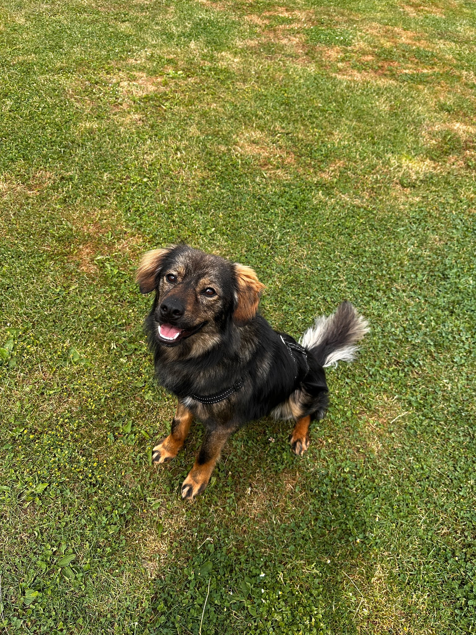 260603_Tomtom_1