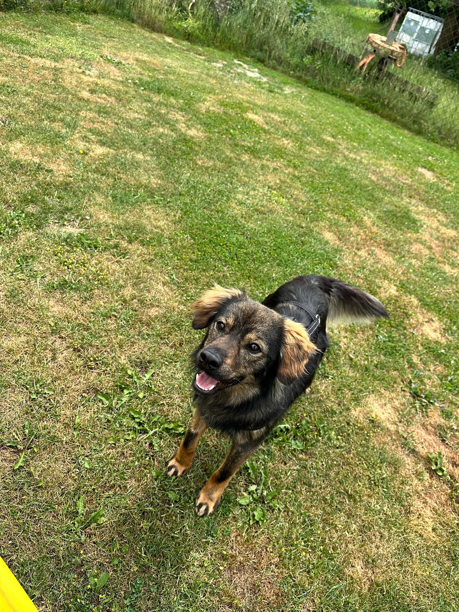 260603_Tomtom_4