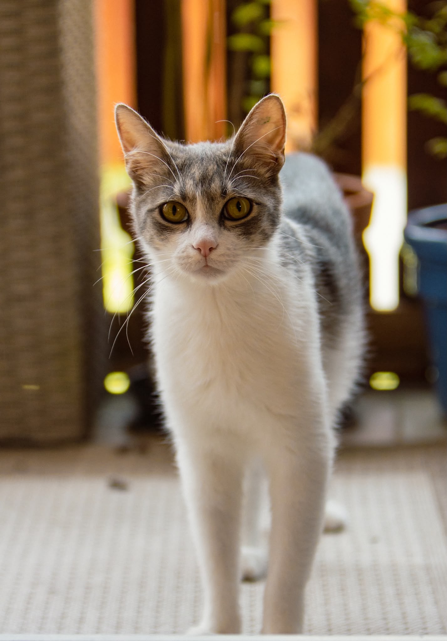 260719_Mila_1