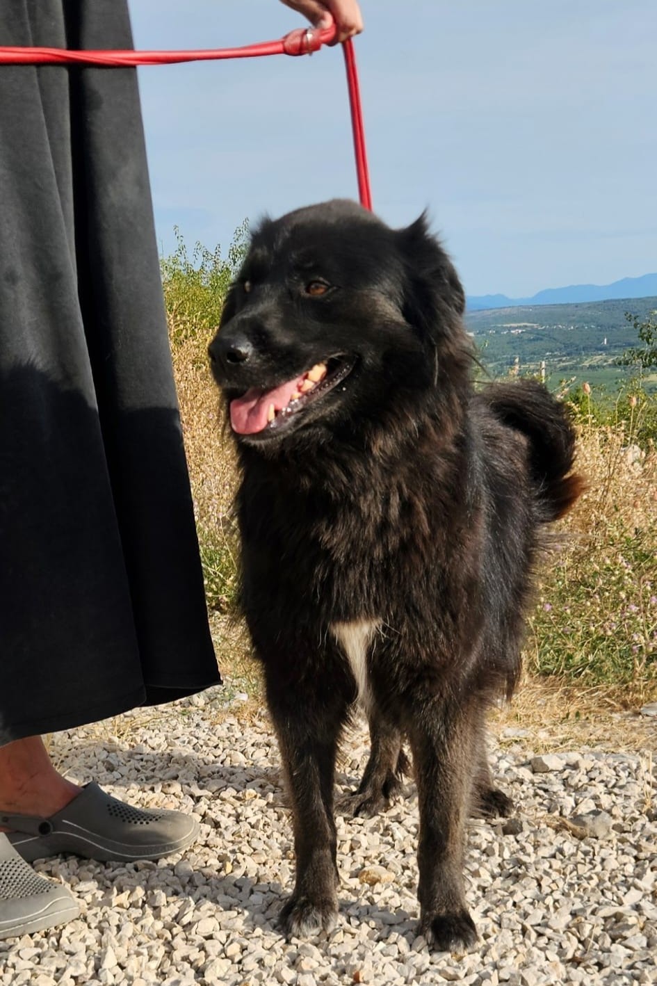 260708_Čupka_2