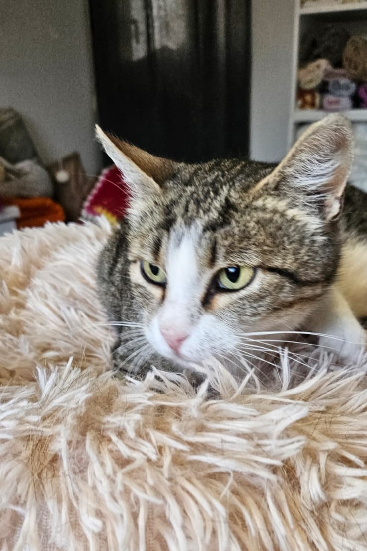 260708_Samira_2