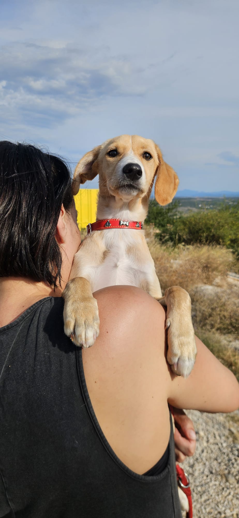 260708_Stella_3