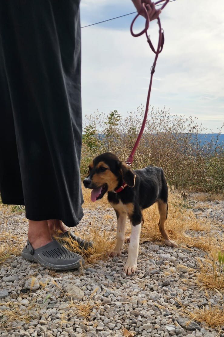 260709_Mabel_1