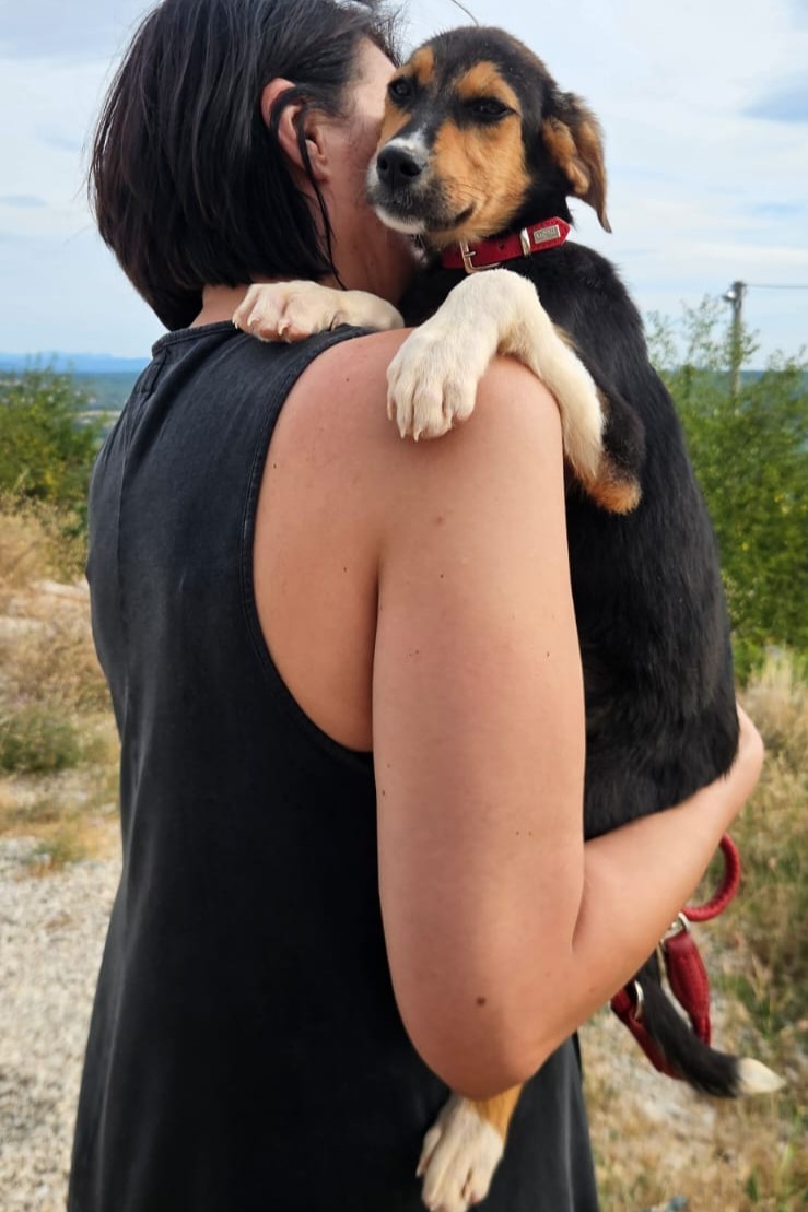 260709_Mabel_6