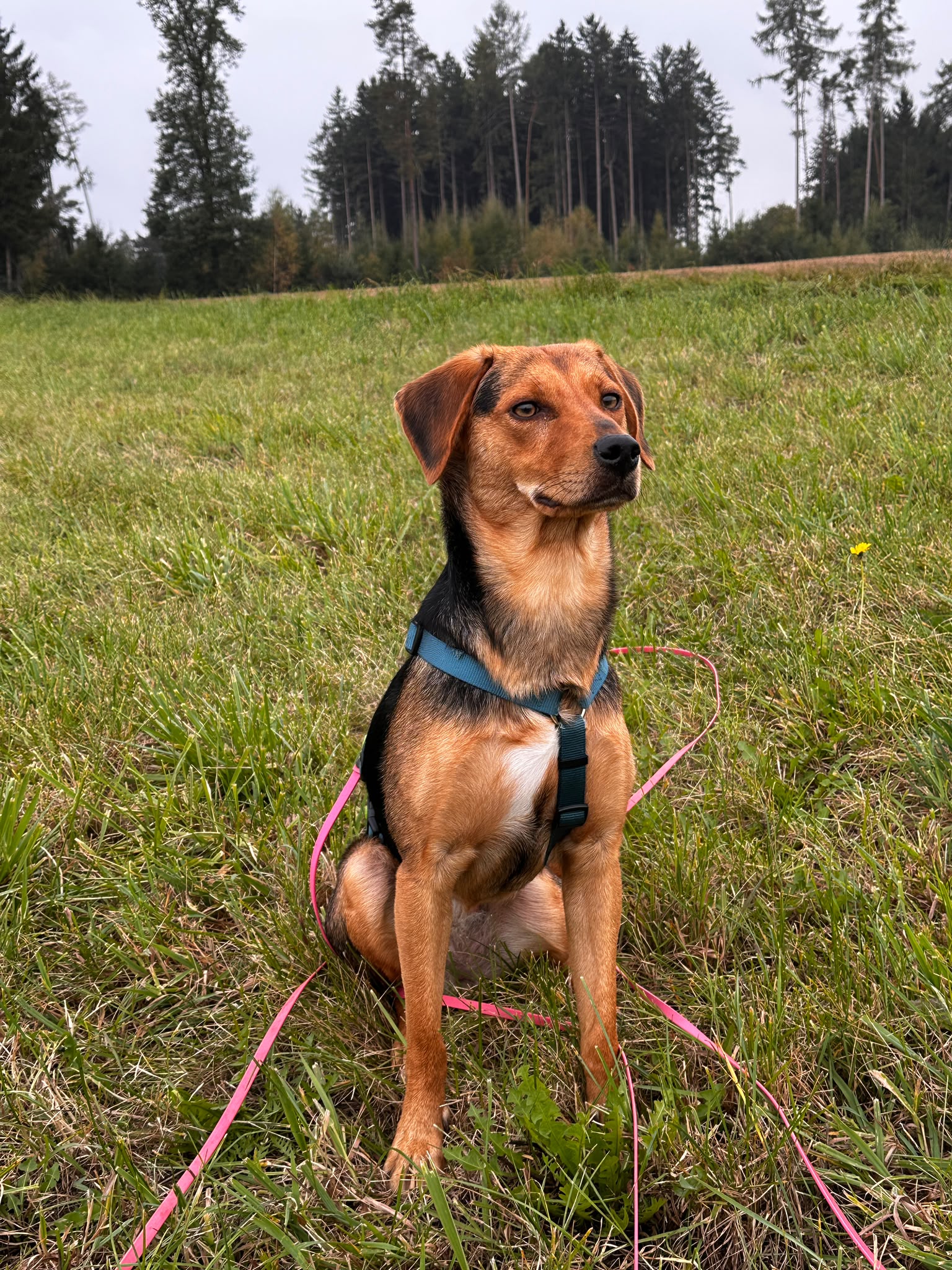 261017_Klara_2
