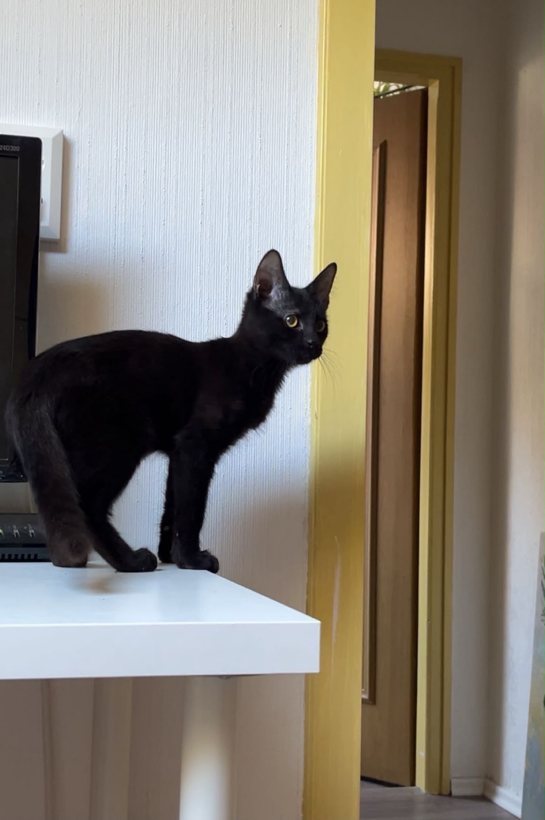 260913_Monty_2