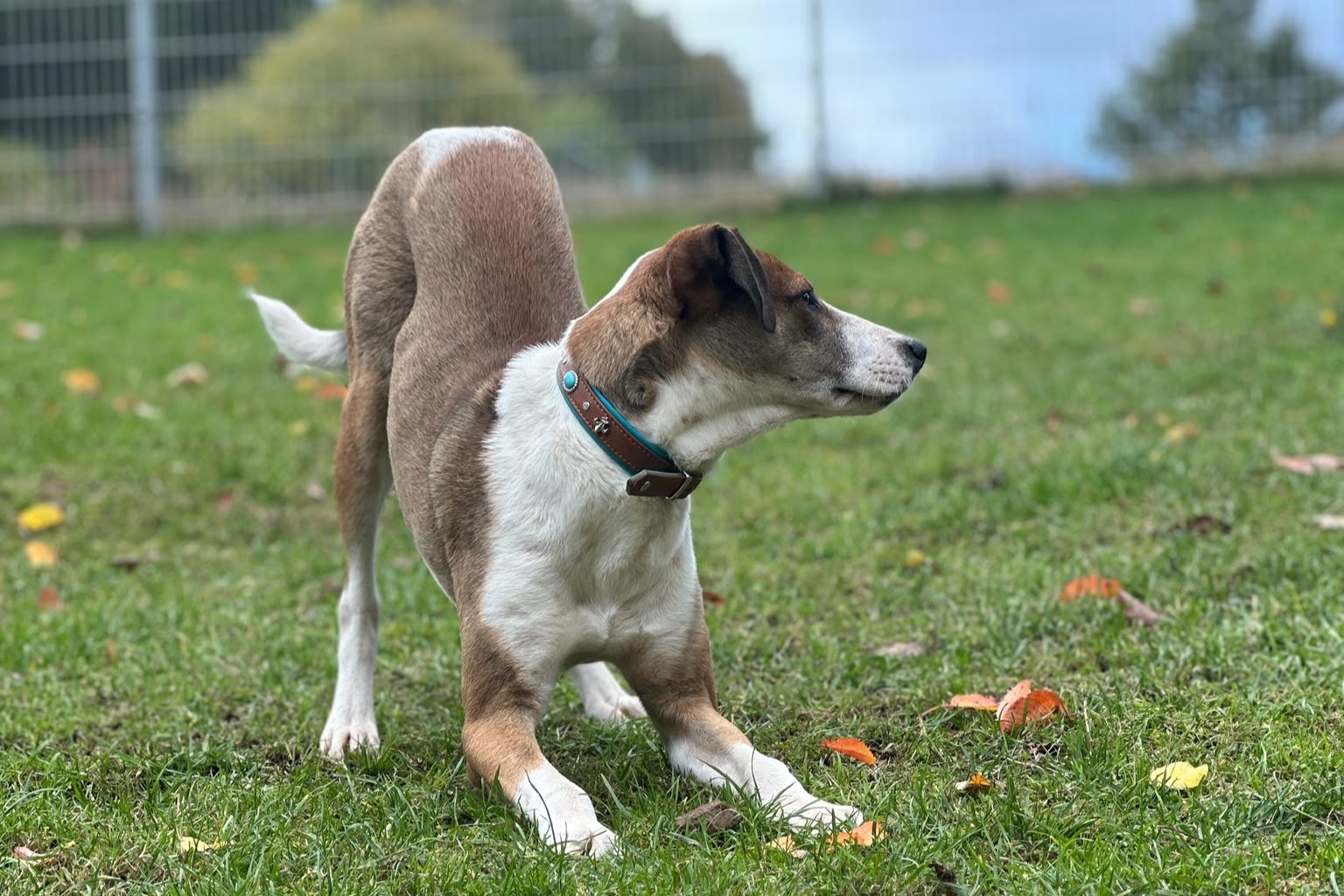 261022_Fredo_3